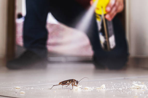 Best Termite Control Services  in Byesville, OH