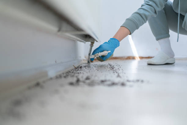 Best Best Pest Control Companies  in Byesville, OH