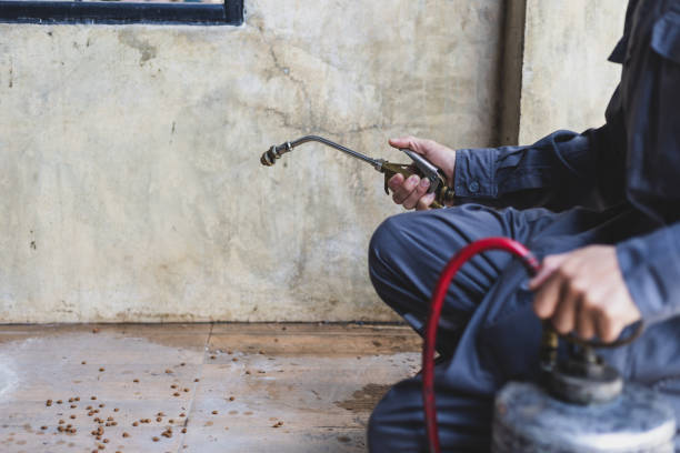Best Rat Extermination Near Me  in Byesville, OH